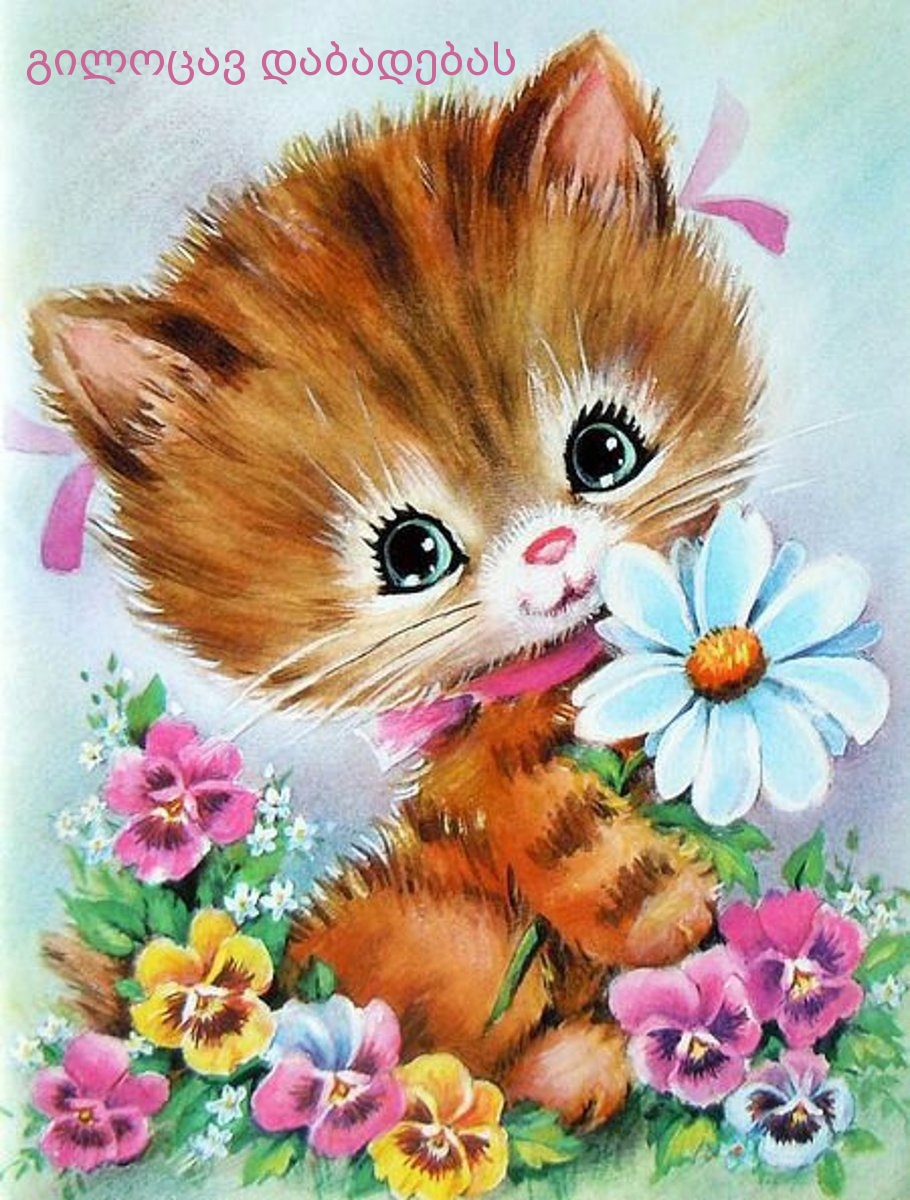 გილოცავ დაბადებას