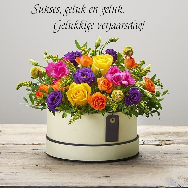 Sukses, geluk en geluk. Gelukkige verjaarsdag!