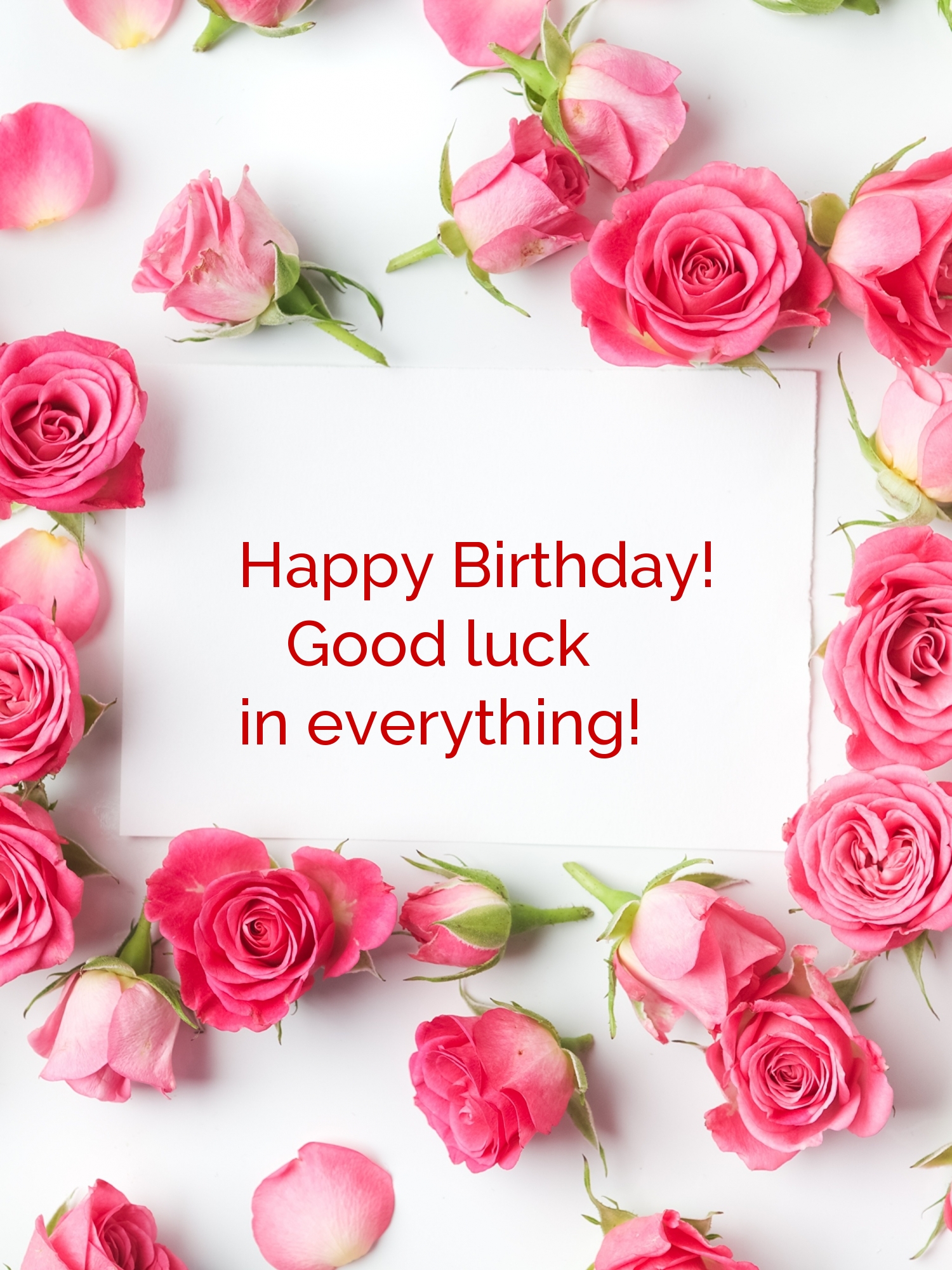 Happy Birthday! Good luck in everything!