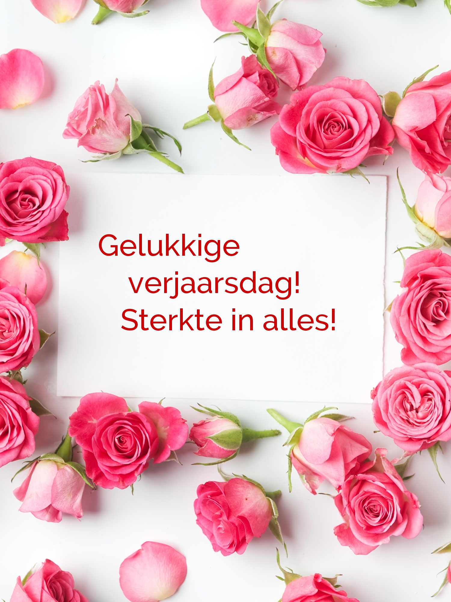 Gelukkige verjaarsdag! Sterkte in alles!