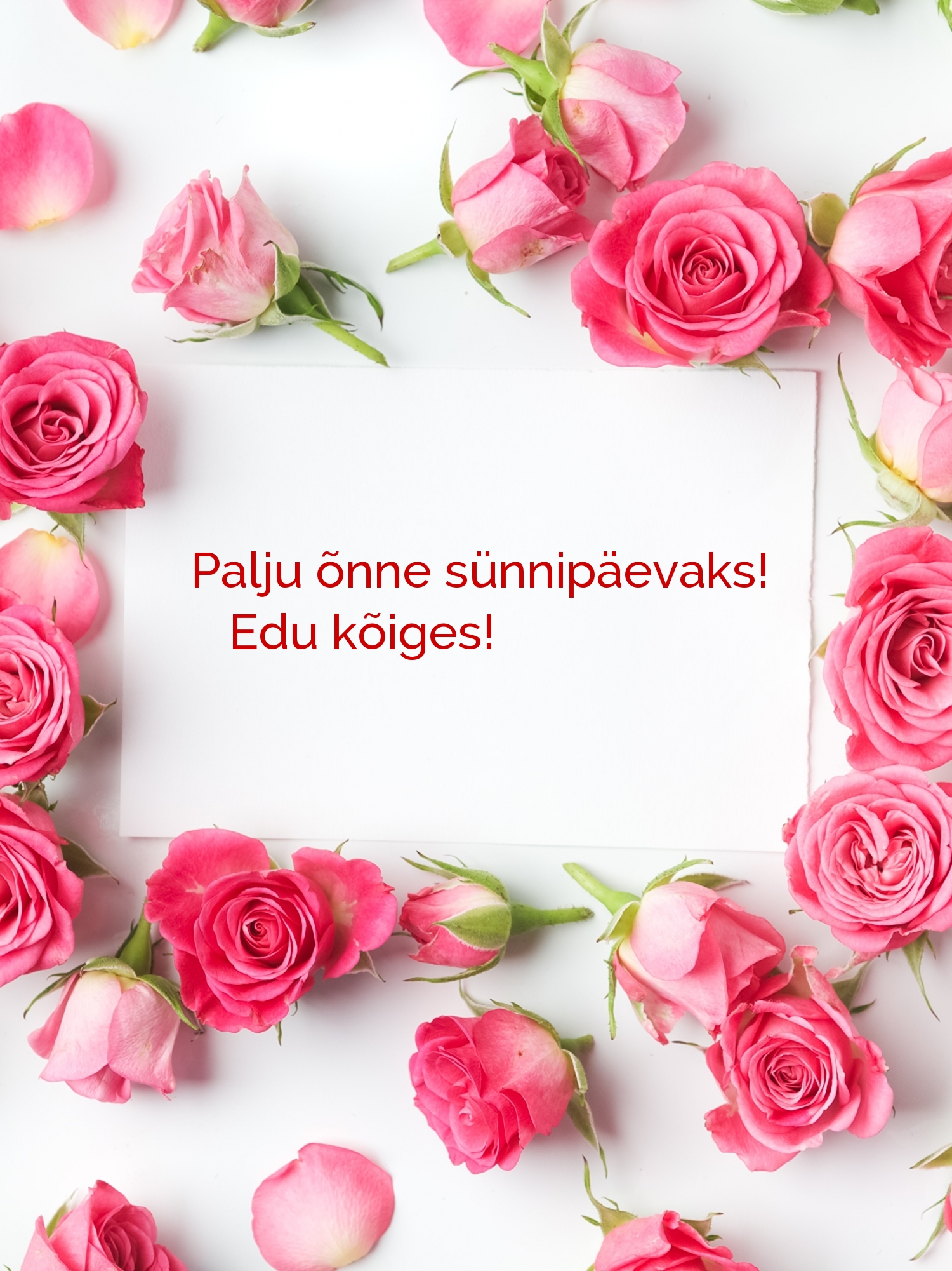 Palju õnne sünnipäevaks! Edu kõiges!