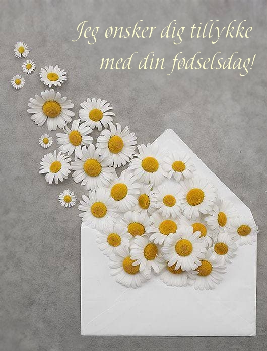 Jeg ønsker dig tillykke med din fødselsdag!