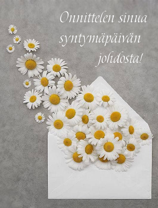 Onnittelen sinua syntymäpäivän johdosta!