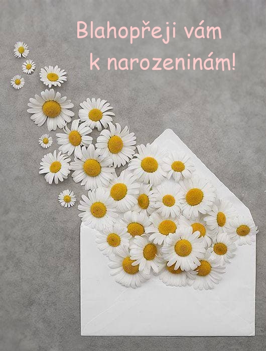 Blahopřeji vám k narozeninám!