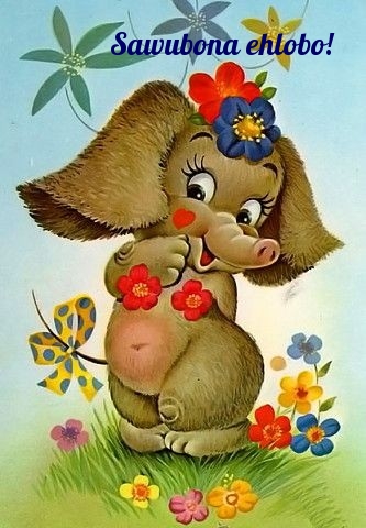 Sawubona ehlobo!
