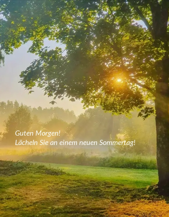 Guten Morgen! Lächeln Sie an einem neuen Sommertag!
