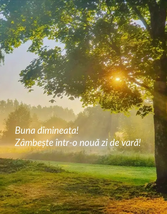 Buna dimineata! Zâmbește într-o nouă zi de vară!