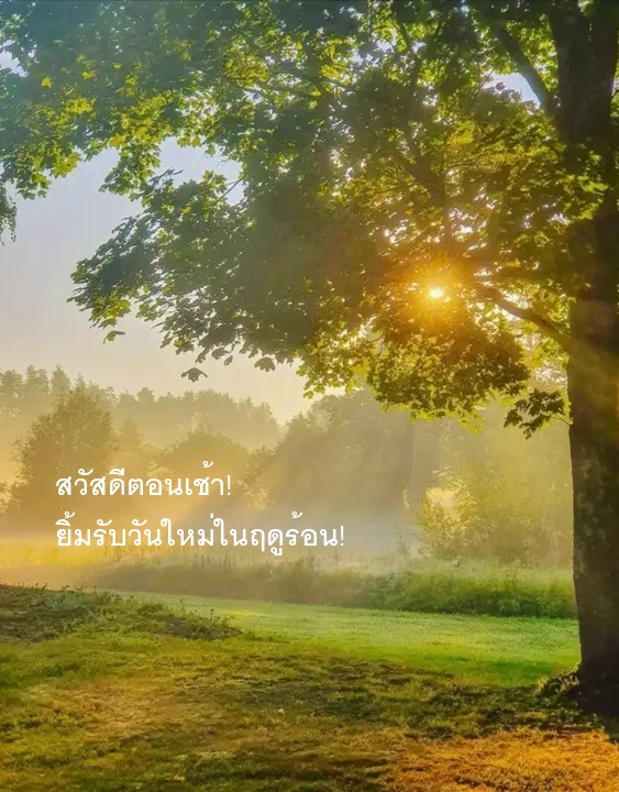สวัสดีตอนเช้า! ยิ้มรับวันใหม่ในฤดูร้อน!
