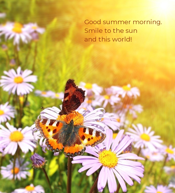 Good summer morning. Smile to the sun and this world!