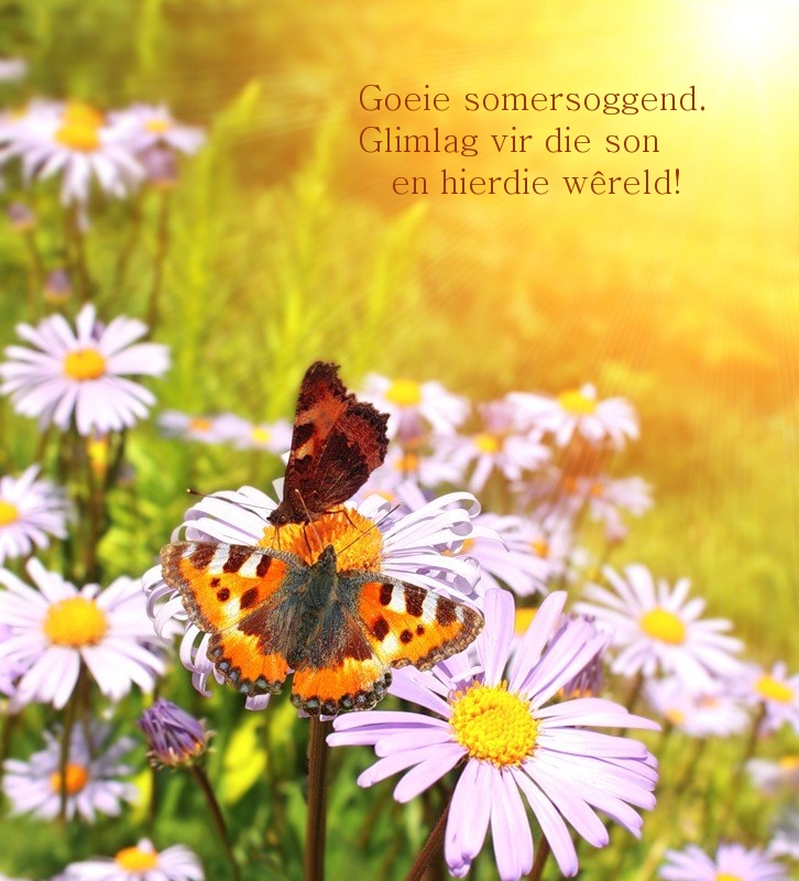 Goeie somersoggend. Glimlag vir die son en hierdie wêreld!