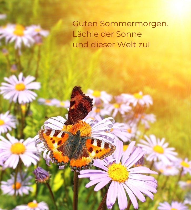 Guten Sommermorgen. Lächle der Sonne und dieser Welt zu!