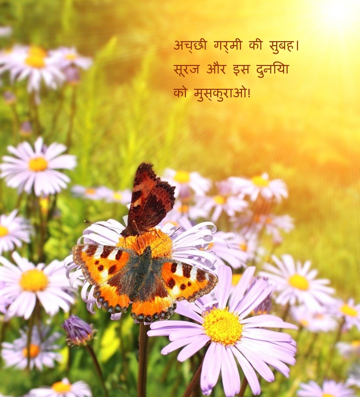 अच्छी गर्मी की सुबह। सूरज और इस दुनिया को मुस्कुराओ!