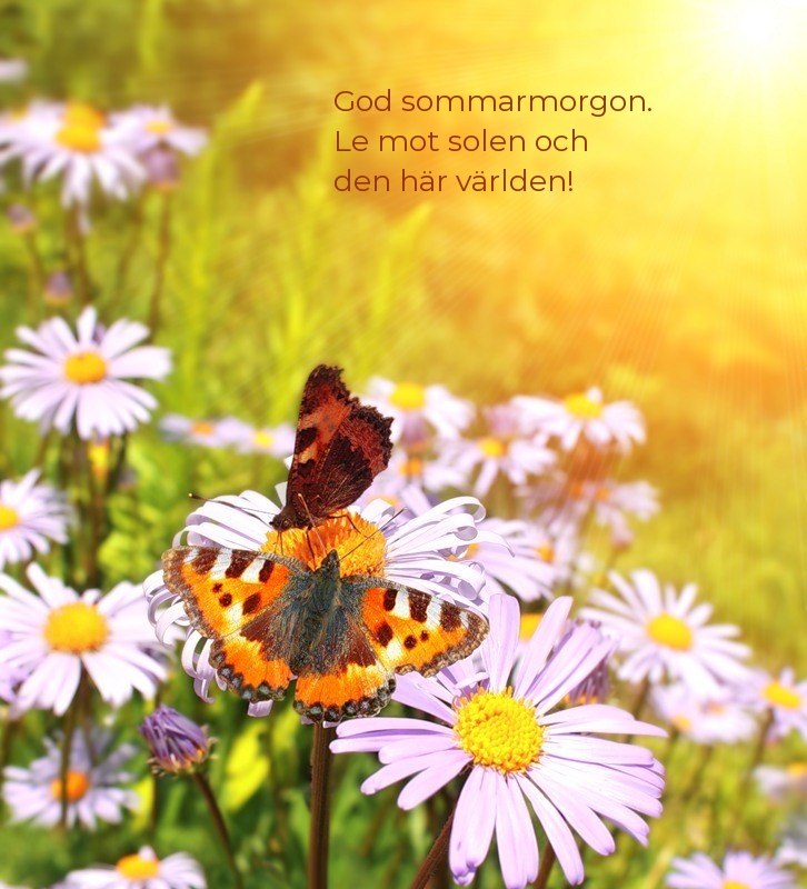 God sommarmorgon. Le mot solen och den här världen!