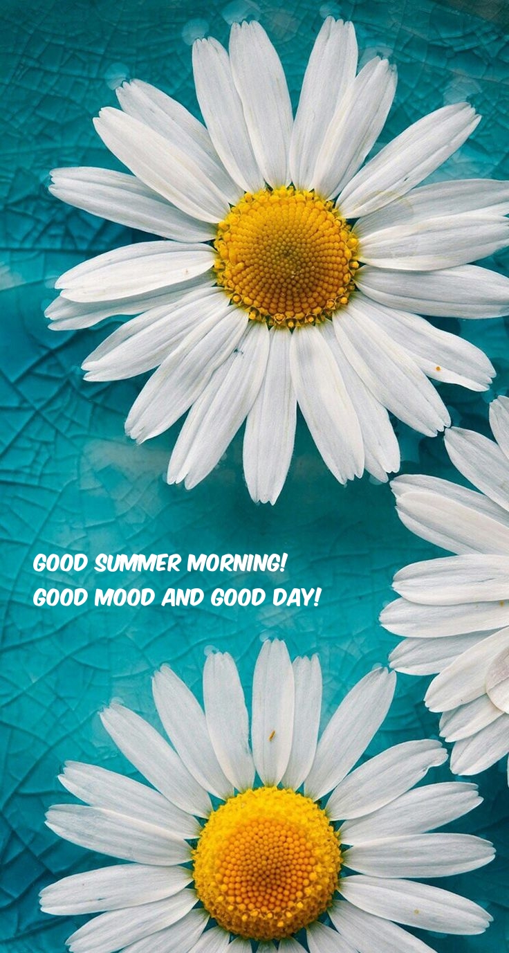 Good summer morning! Good mood and good day!