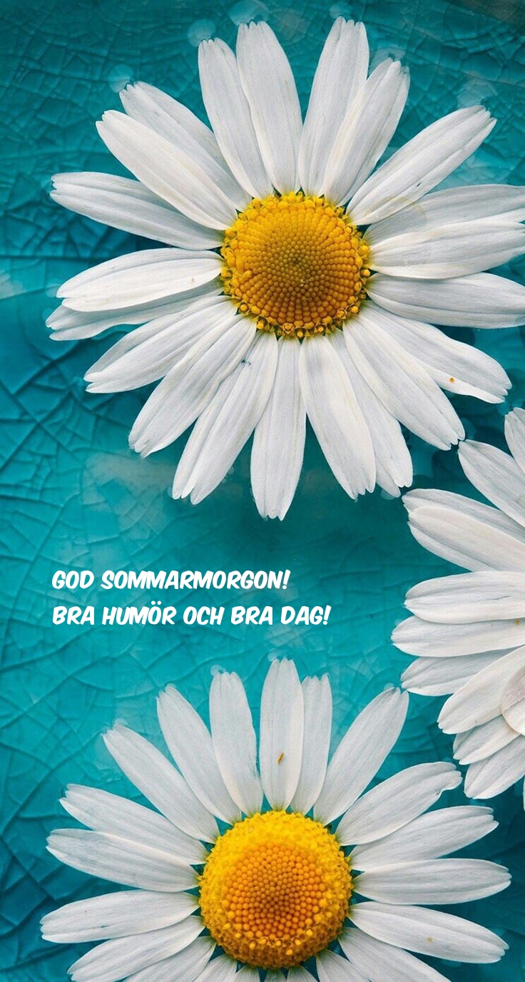 God sommarmorgon! Bra humör och bra dag!