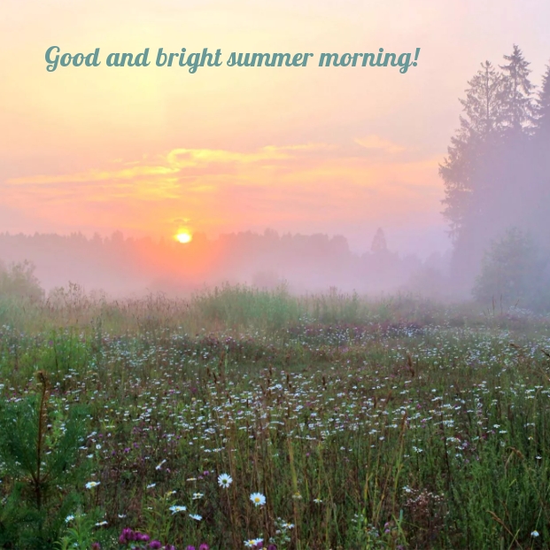 Good and bright summer morning!