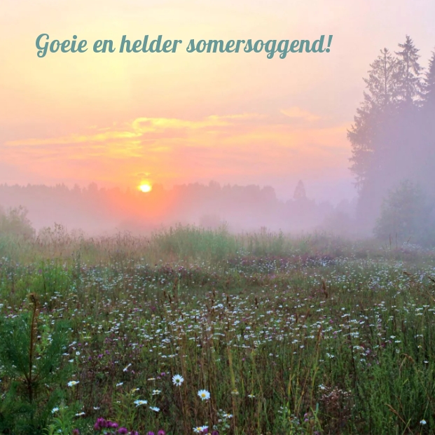 Goeie en helder somersoggend!