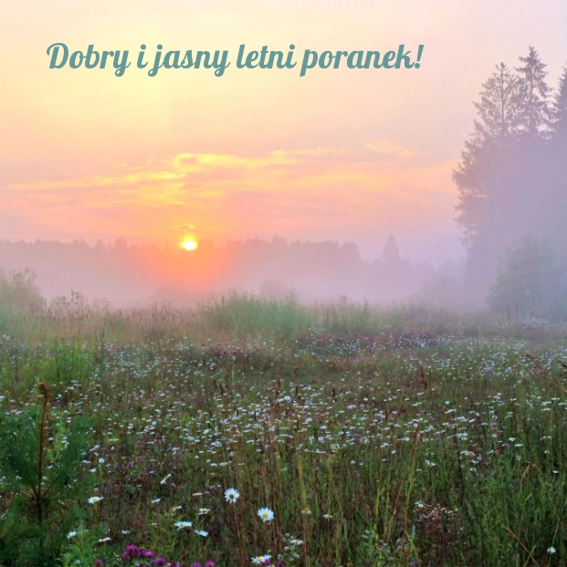 Dobry i jasny letni poranek!