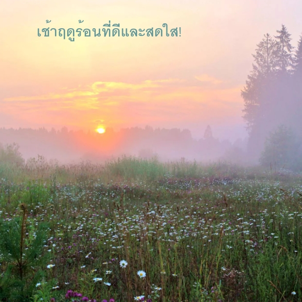 เช้าฤดูร้อนที่ดีและสดใส!
