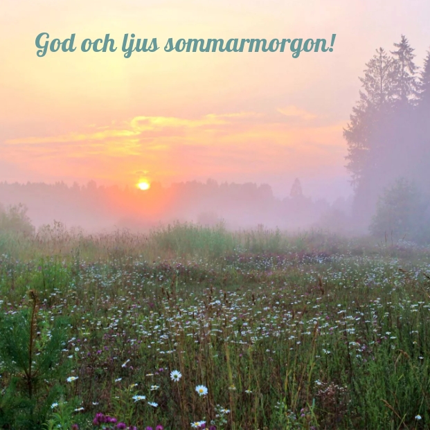 God och ljus sommarmorgon!