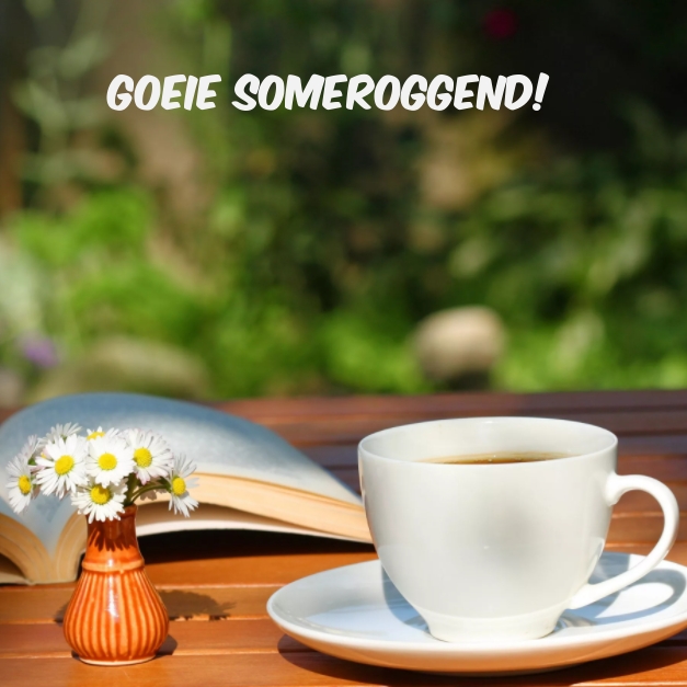 Goeie someroggend!