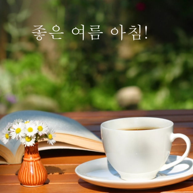 좋은 여름 아침!