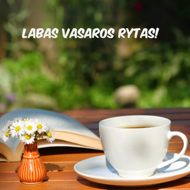 Labas vasaros rytas!