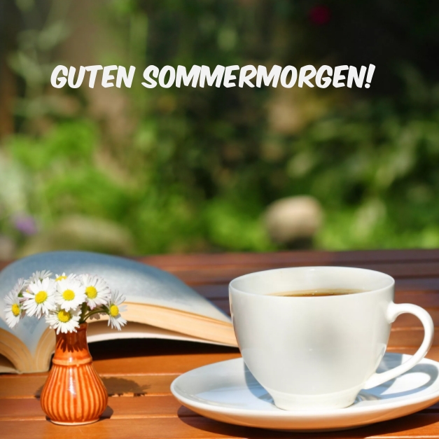 Guten Sommermorgen!