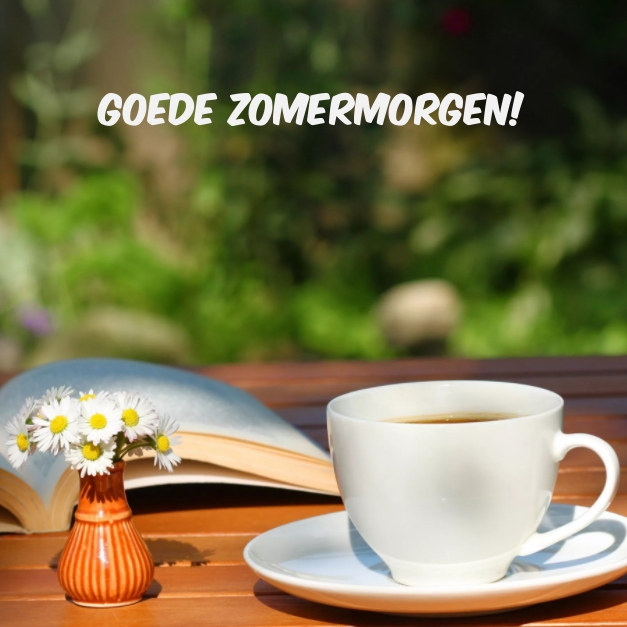 Goede zomermorgen!