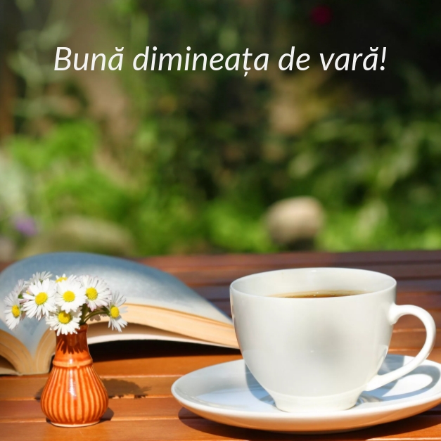 Bună dimineața de vară!