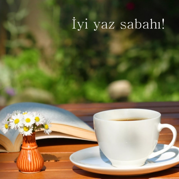 İyi yaz sabahı!