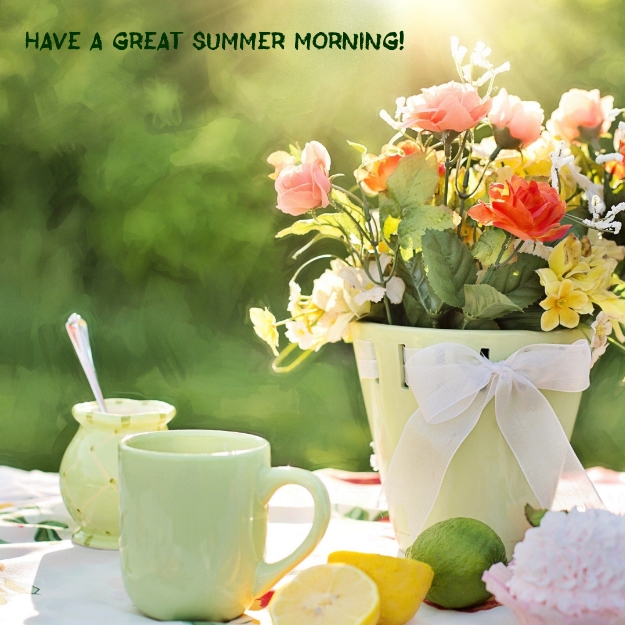 Have a great summer morning!