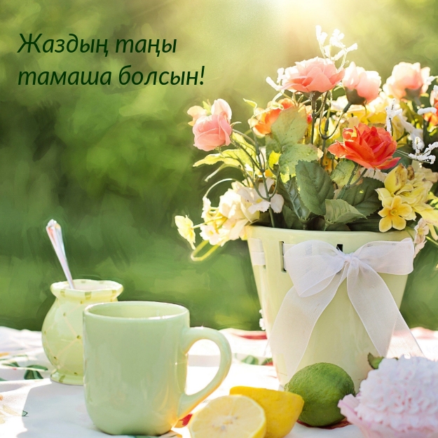 Жаздың таңы тамаша болсын!