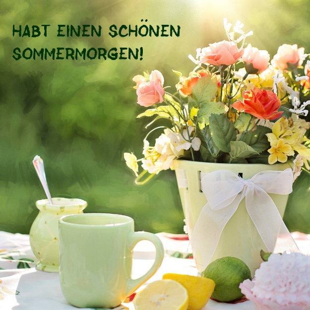 Habt einen schönen Sommermorgen!