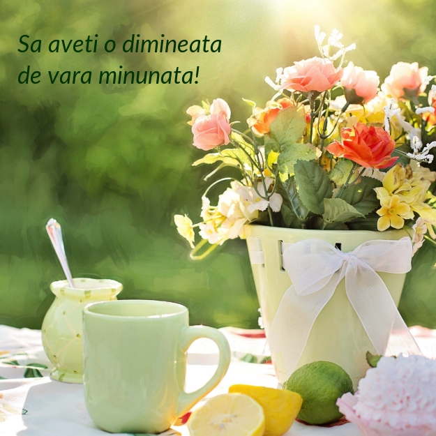 Sa aveti o dimineata de vara minunata!