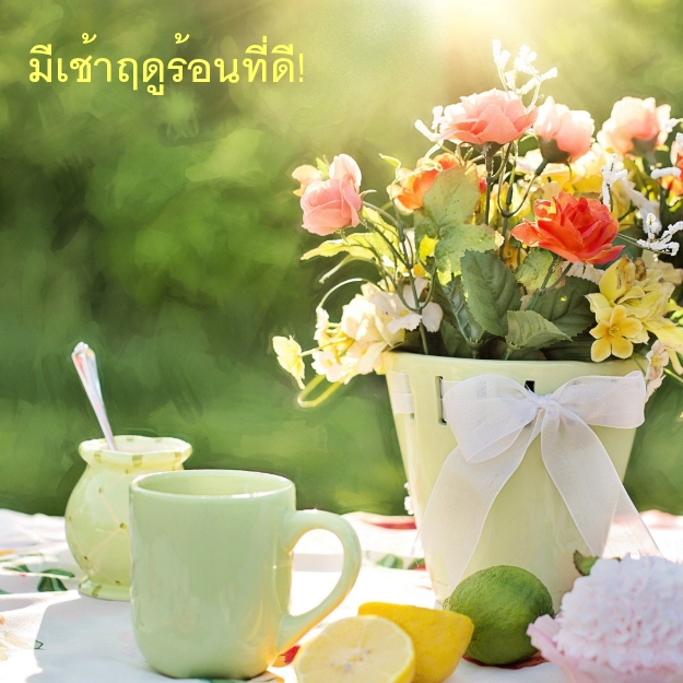 มีเช้าฤดูร้อนที่ดี!