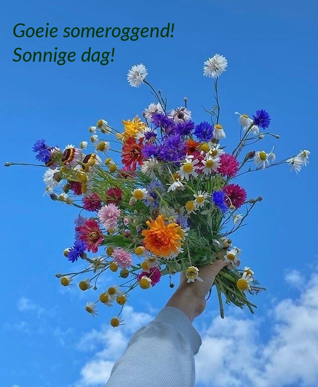 Goeie someroggend! Sonnige dag!