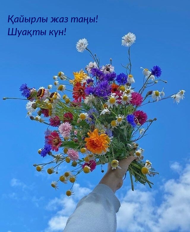 Қайырлы жаз таңы! Шуақты күн!