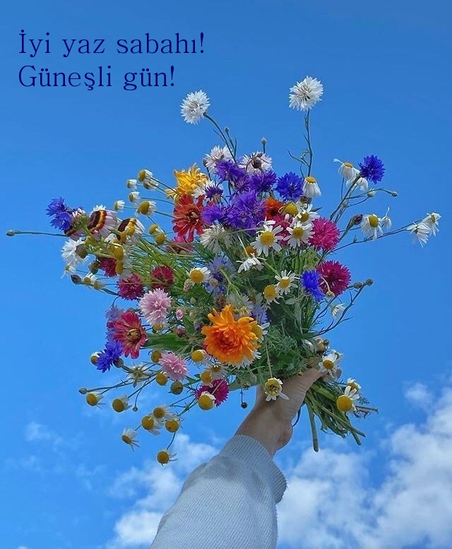 İyi yaz sabahı! Güneşli gün!