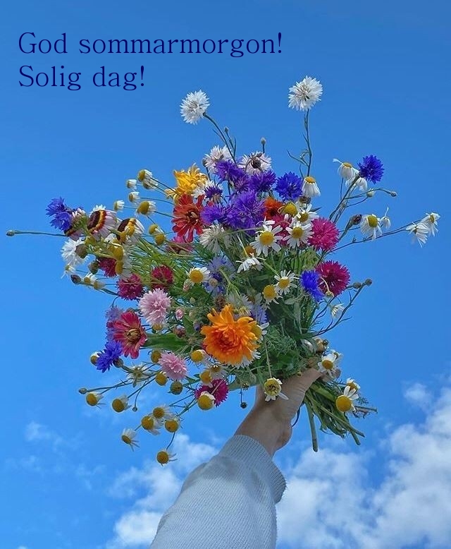 God sommarmorgon! Solig dag!