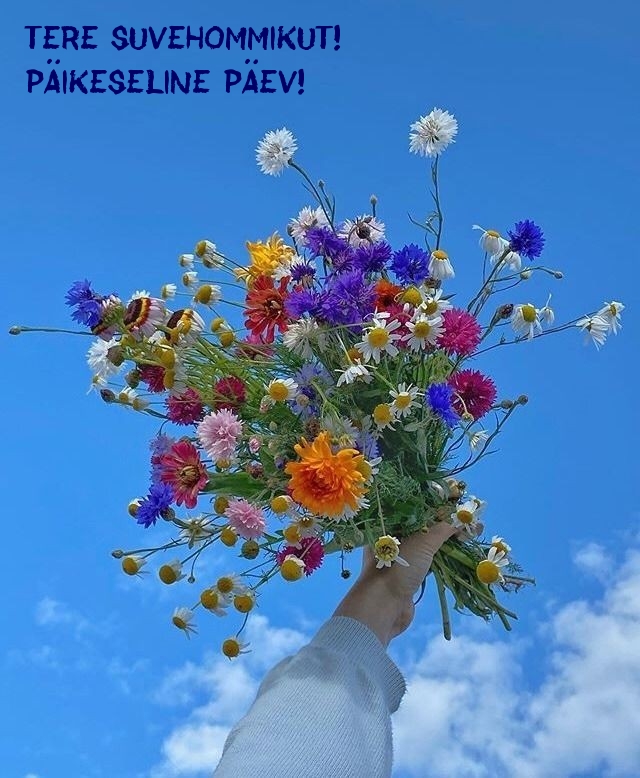 Tere suvehommikut! Päikeseline päev!
