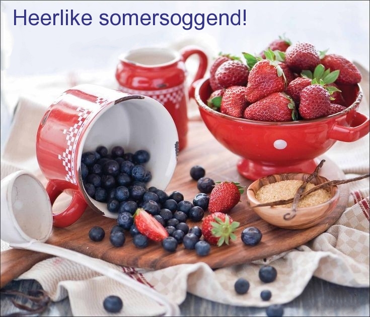 Heerlike somersoggend!