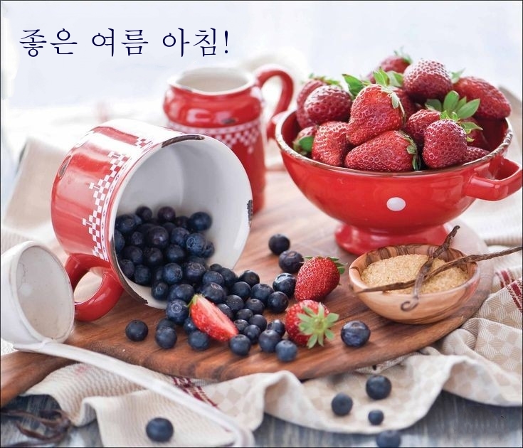 좋은 여름 아침!
