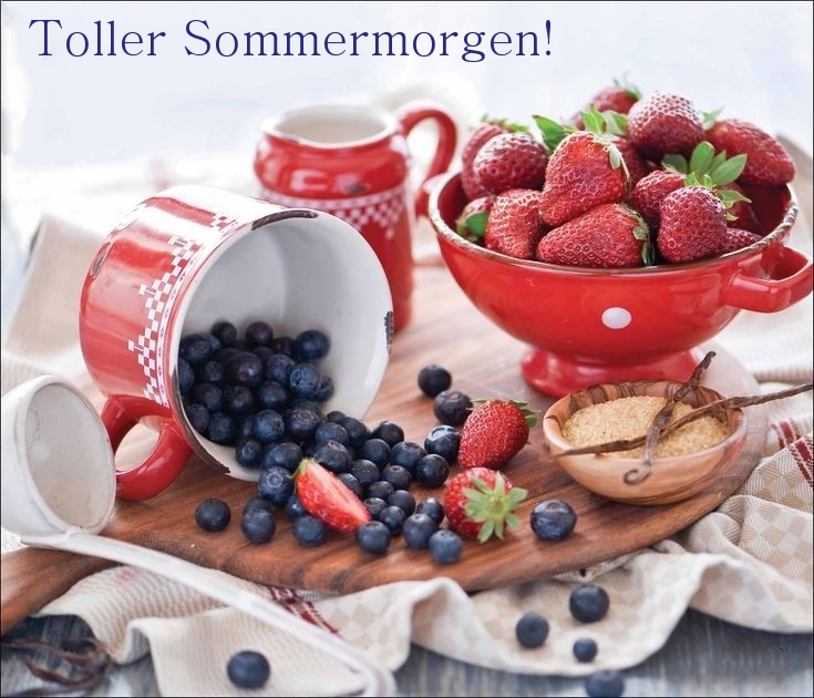 Toller Sommermorgen!