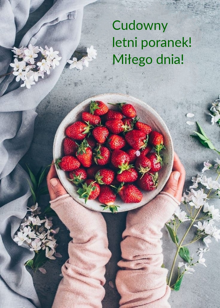 Cudowny letni poranek! Miłego dnia!
