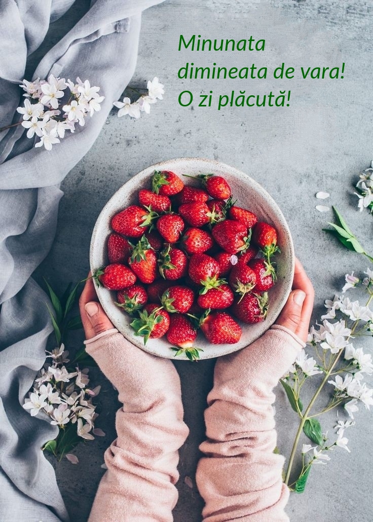 Minunata dimineata de vara! O zi plăcută!