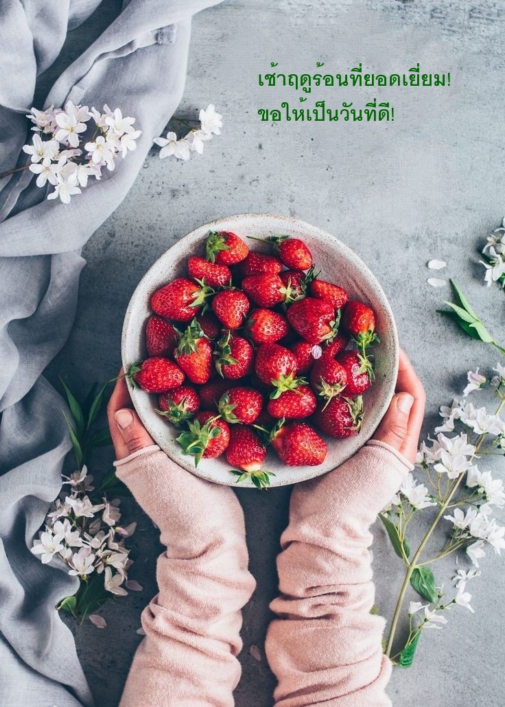 เช้าฤดูร้อนที่ยอดเยี่ยม! ขอให้เป็นวันที่ดี!