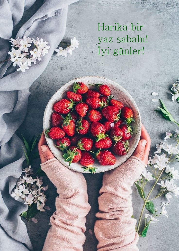 Harika bir yaz sabahı! İyi günler!