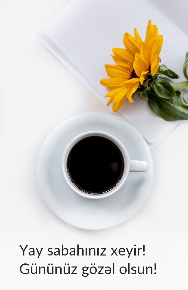 Good summer morning! Have a wonderful day!