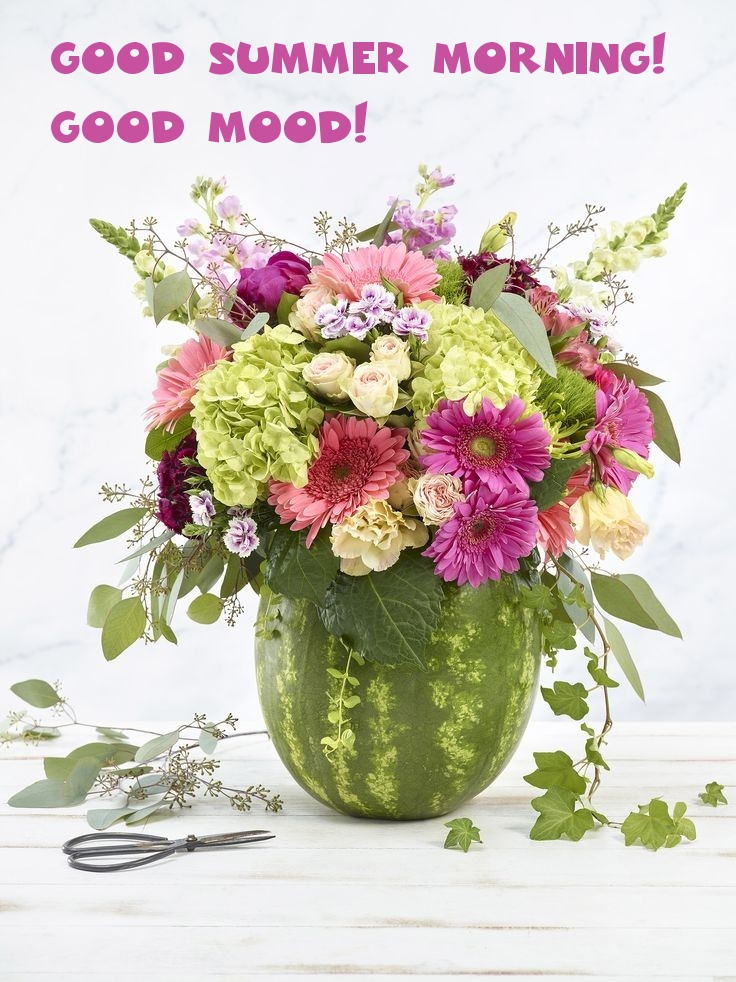 Good summer morning! Good mood!